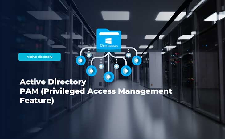 PAM (Privileged Access Management Feature)